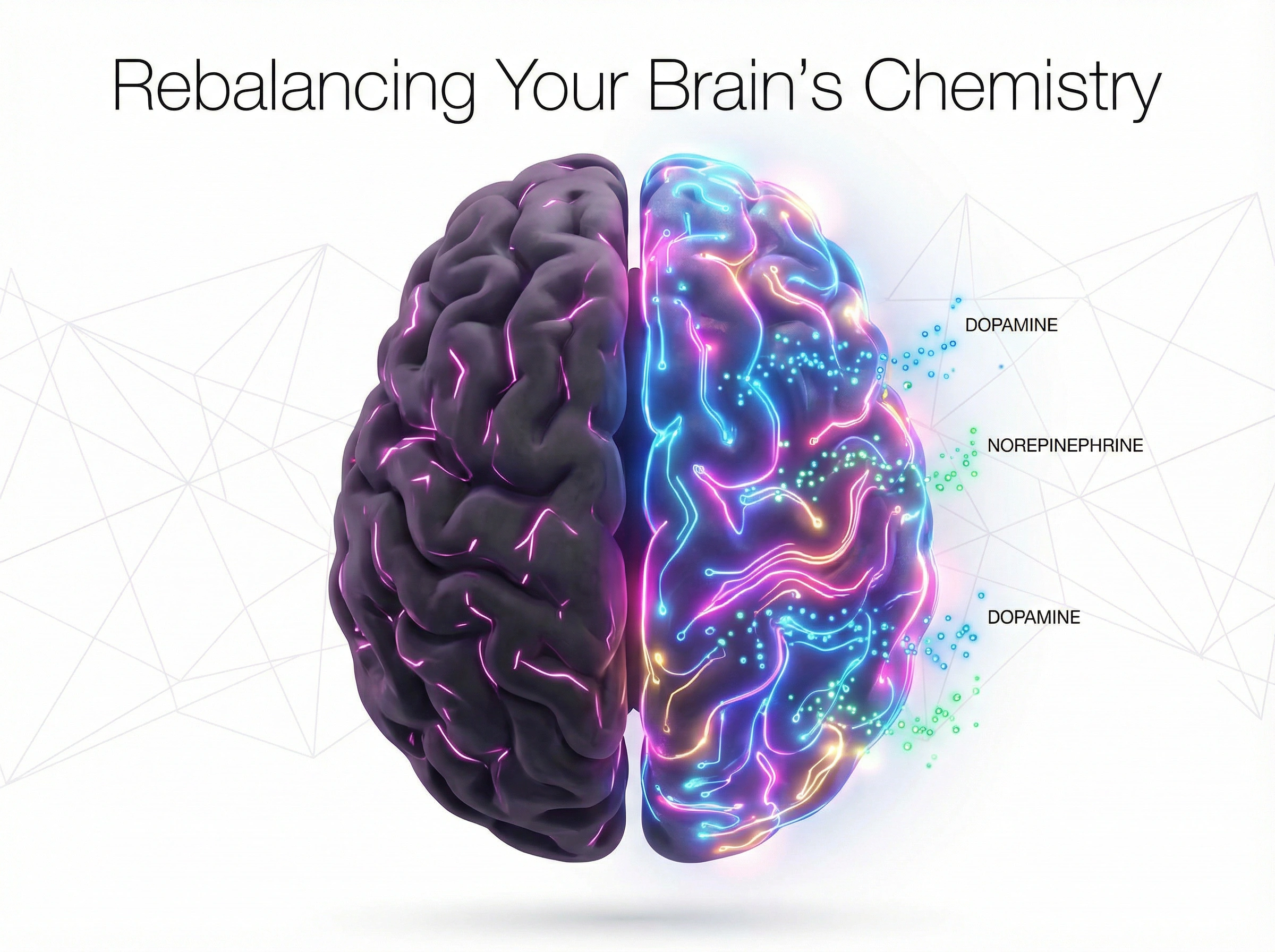 Rebalancing Your Brain's Chemistry